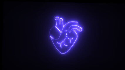 Human heart, a bright neon heart. Blood is ejected from left ventricle and enters into systemic circulation. This part receives deoxygenated blood and ejects oxygenated hlood.