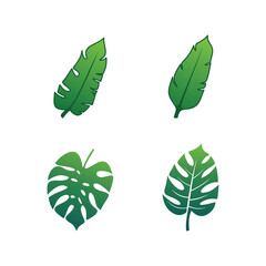 tropical leaves logo set design vector, nature logo inspiration