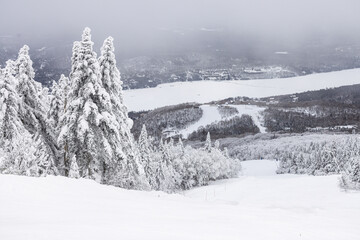 Mont Tremblant Winter Wonderland Majesty With Ski Slopes: A Sweeping View of Snow-Laden Pines and Ski Trails, Offering a Perfect Winter Escape. Laurentians, Quebec, Canada - Powered by Adobe