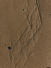 Pebbles are scattered across a beach as the surf pulls out to low tide, revealing natural, criss-crossing patterns in the wet sand. The sand is a smooth earthen color, darkened by the sea water.