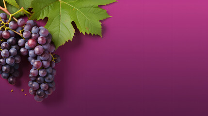 fresh grapes on isolated purple background
