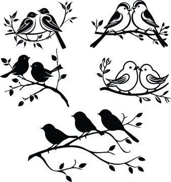 birds on branch silhouette  vector illustration 
