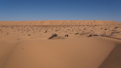 Valley surrounded by tall sand dunes in the Sahara Desert, outside of Douz, Tunisia