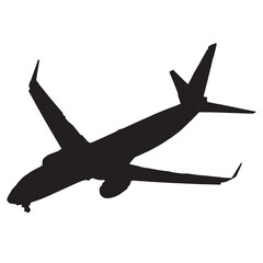 Landing airliner with nosegear extended in silhouette