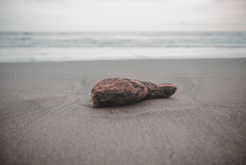 Rock at the beach