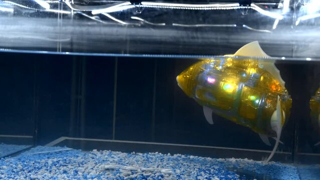 A robot fish in aquarium. Media. Artificial version of robot fish glowing in water. Robot fish with artificial intelligence in aquarium
