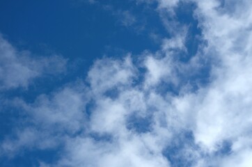Fototapeta premium View upwards at wispy clouds in a blue sky. 