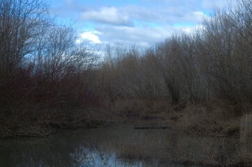 View along a river that winds through woodland area with trees bare of leaves in winter on a partially cloudy day. 
