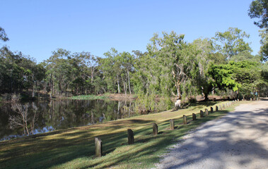 Fototapeta na wymiar Pond, trees, grass and fence at the Boyne Island Conservation Park in Queensland, Australia
