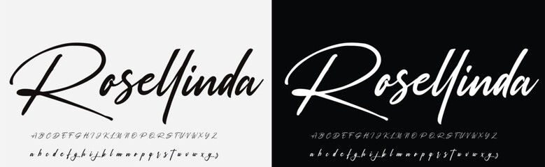 Signature Font Calligraphy Logotype Script Brush Font Type Font lettering handwritten