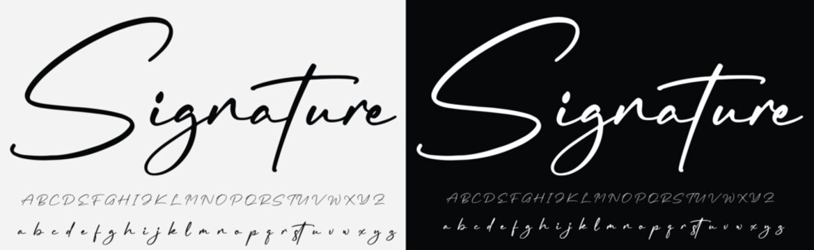 Signature Font Calligraphy Logotype Script Brush Font Type Font lettering handwritten