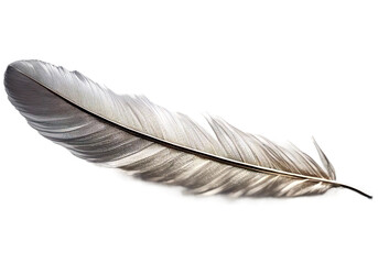 White feather with intricate design, isolated on a white background - obrazy, fototapety, plakaty