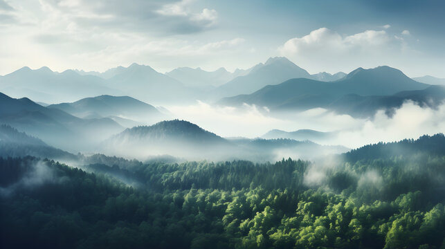 Seamless continuous fog forest HD 8K wallpaper Stock Photographic Image,,
Vosges Mountains in Eastern France covered in beautiful forests. silhouette concept Free Photo

