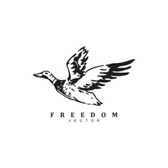 Abstract vintage hand drawn flying duck logo design vector illustration