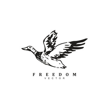 Abstract vintage hand drawn flying duck logo design vector illustration