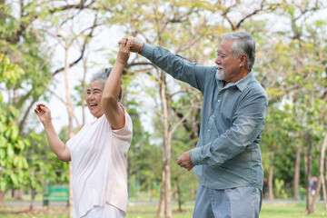 senior couple dancing together in the park