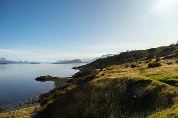 Valley on the coast of the Beagle Channel. Ushuaia