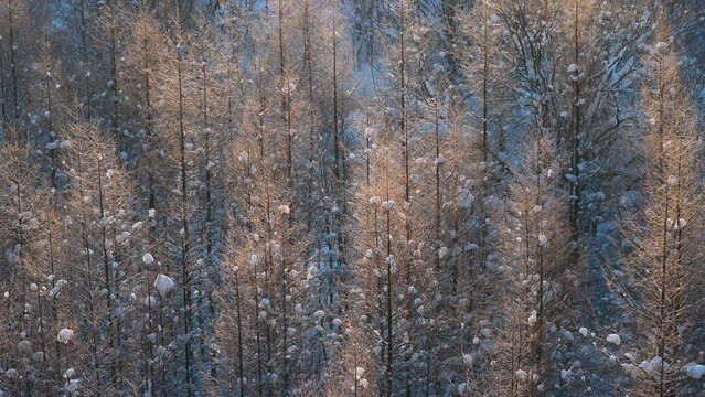 Diamond dust