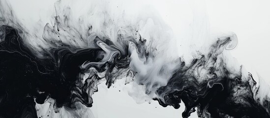 Abstract background with black and white acrylic colors in water ink blot