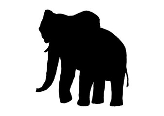Elephant silhouette. Vector illustration isolated on white background.