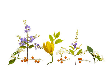 colorful flowers ylang ylang, purple flowers, jasmine local flora arrangement flat lay postcard...
