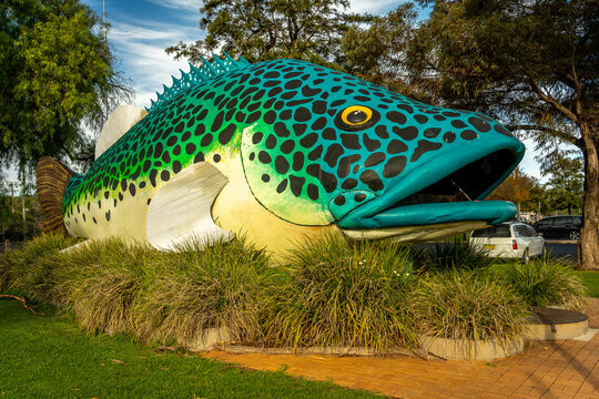 Swan Hill, Victoria, Australia - Jun 6, 2020: The giant Murray cod sculpture