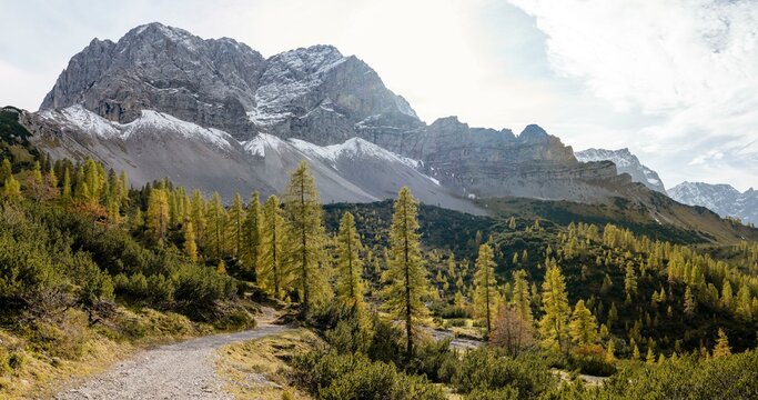 Mountain panorama with steep rocky peaks, hiking trail between yellow-coloured larches in autumn, hike to the summit of the Hahnkampl, view of the Lammsenspitze peak, Engtal, Karwendel, Tyrol