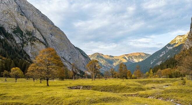 Maple trees with autumn leaves, autumn landscape in Risstal, Grosser Ahornboden, Engalpe, Eng, municipality of Hinterriss, Karwendel Mountains, Alpenpark Karwendel, Tyrol, Austria, Europe