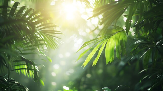 Golden sunlight pierces through vibrant green tropical jungle leaves, creating a mystical natural background with soft bokeh.