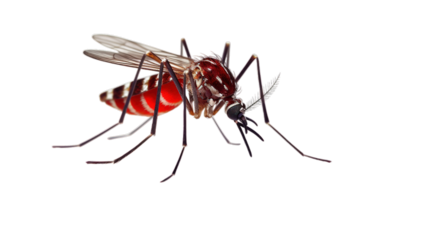 World malaria day isolated on transparent background, Generative ai.