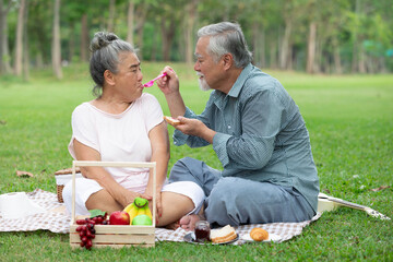 senior couple have a picnic in the park and eating bread with grape jam