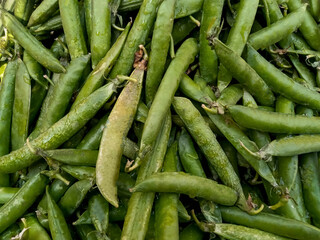 Top view of Young peas flower in the Local Wholesale Market. Healthy and green food. Fresh green peas. Pods of green organic peas on the Cart. City: Karachi, Pakistan.