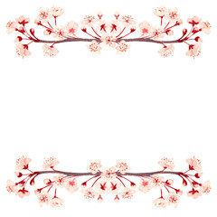 Watercolor hand drawn pink sakura flower branch horizontal frame isolated on white