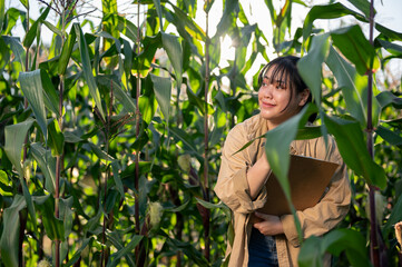 A young, satisfied Asian female agronomist or farmer is working in a corn field.