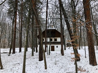 house in the forest
