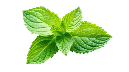 Fresh mint leaves isolated on transparent background, Generative ai.