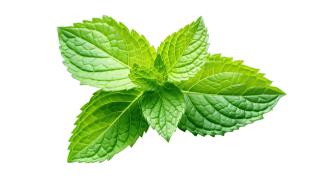 Fresh mint leaves isolated on transparent background, Generative ai.