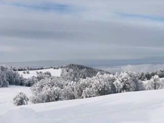 Fototapeta premium snow covered mountains