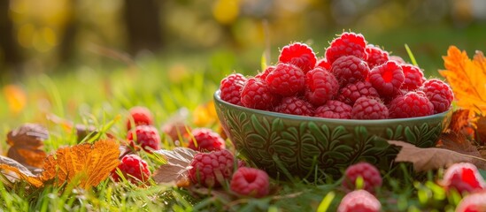 Raspberries in a bowl on green grass with autumn leaves.