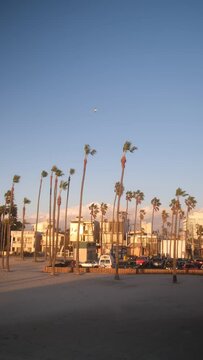 beach city skyline vertical video 4k