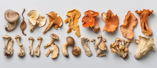 Assorted dehydrated mushrooms on plain backdrop.