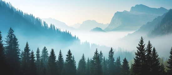 Rustic mountain scenery with coniferous trees on a misty sunny morning - obrazy, fototapety, plakaty