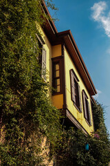 old house in the woods