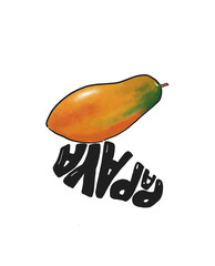 Papaya illustration Hand draw vector illustration Papaya fruit with a shadow of the name of the fruit