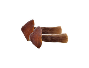 fresh Mushrooms transparent png