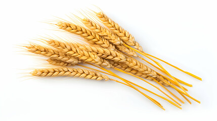 Fresh Wheat Ears Isolated on White Background, Ideal for Food and Farming Concepts. Top View, Organic.