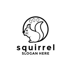 Squirrel logo design template, Vector illustration