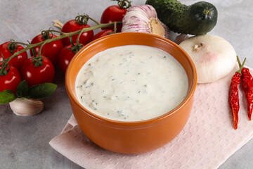 Traditional delicious appetizer; greek tzatziki (Turkish name; cacik)