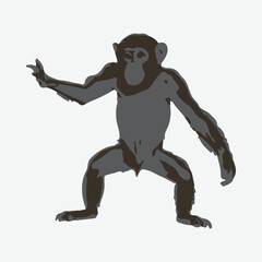 monkey vector with white background
