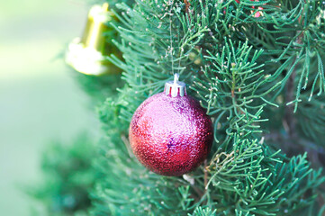 Christmas day or christmas decoration , christmas ball on pine tree